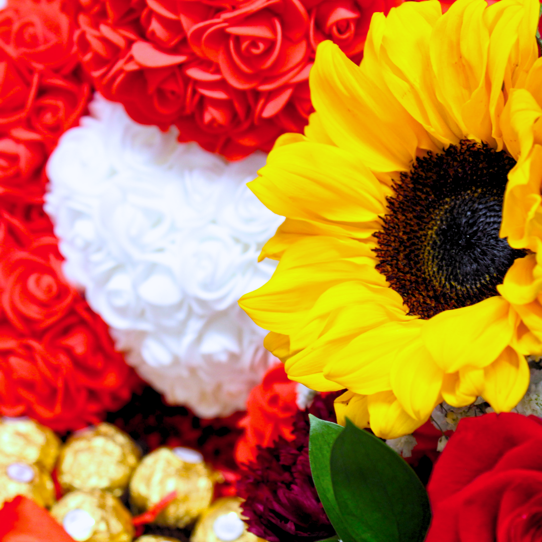 Dream Love Teddy – A Magical and Romantic Surprise
