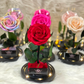 Single Preserved Rose -Tall | Rainbow