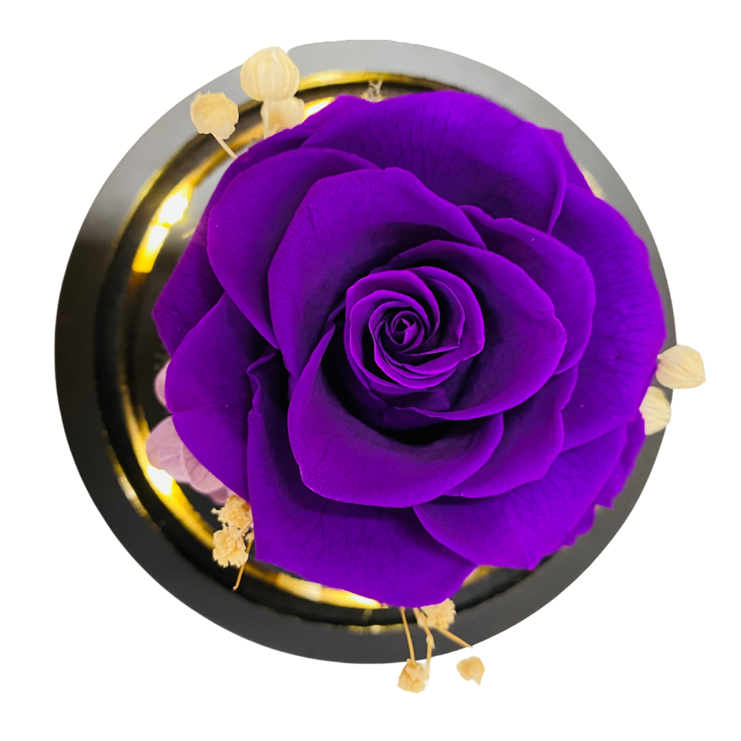 Single Preserved Rose - Small | Dark Purple
