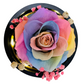 Single Preserved Rose - Small | Rainbow