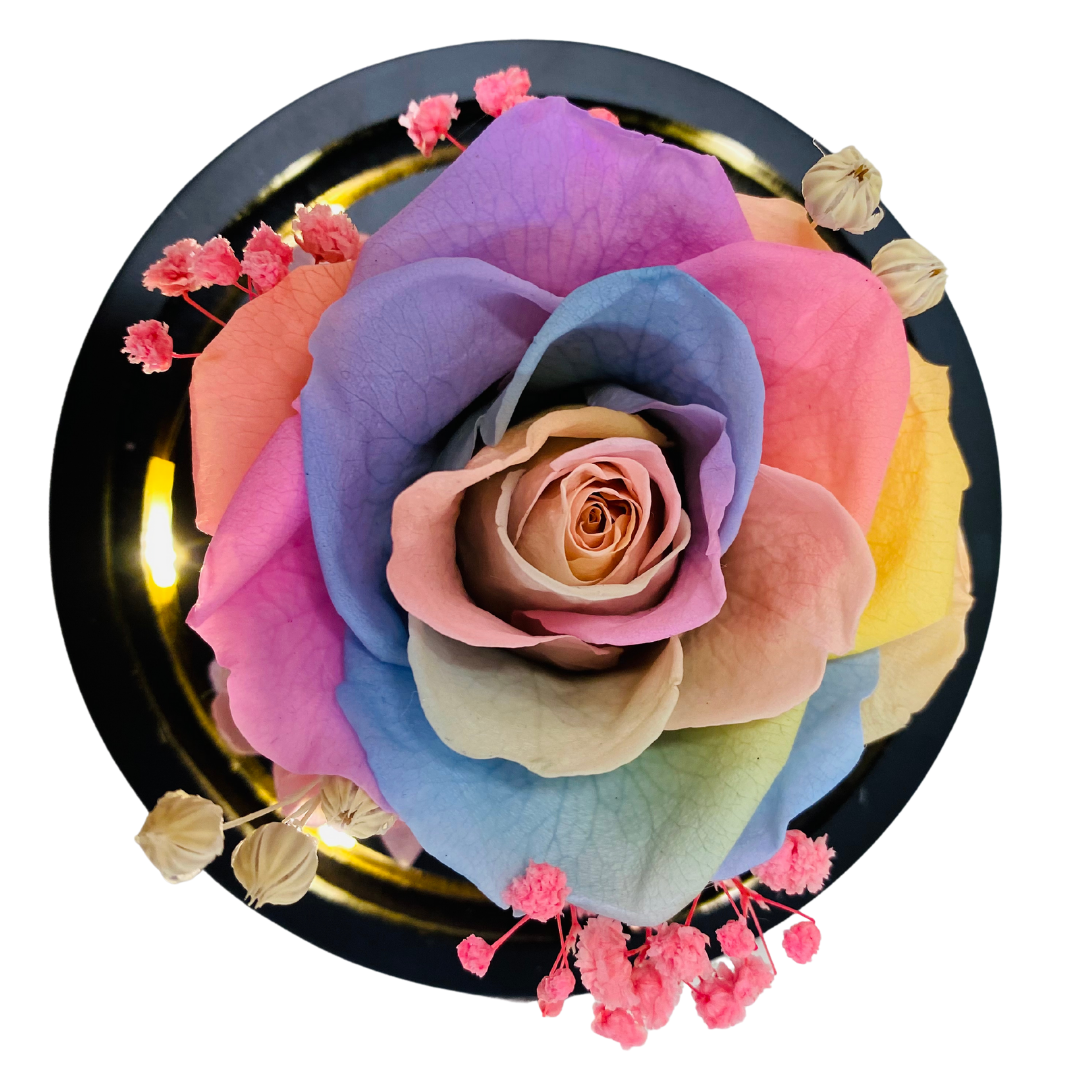 Single Preserved Rose - Small | Rainbow
