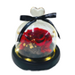 Single Preserved Rose - Small | Classic Red