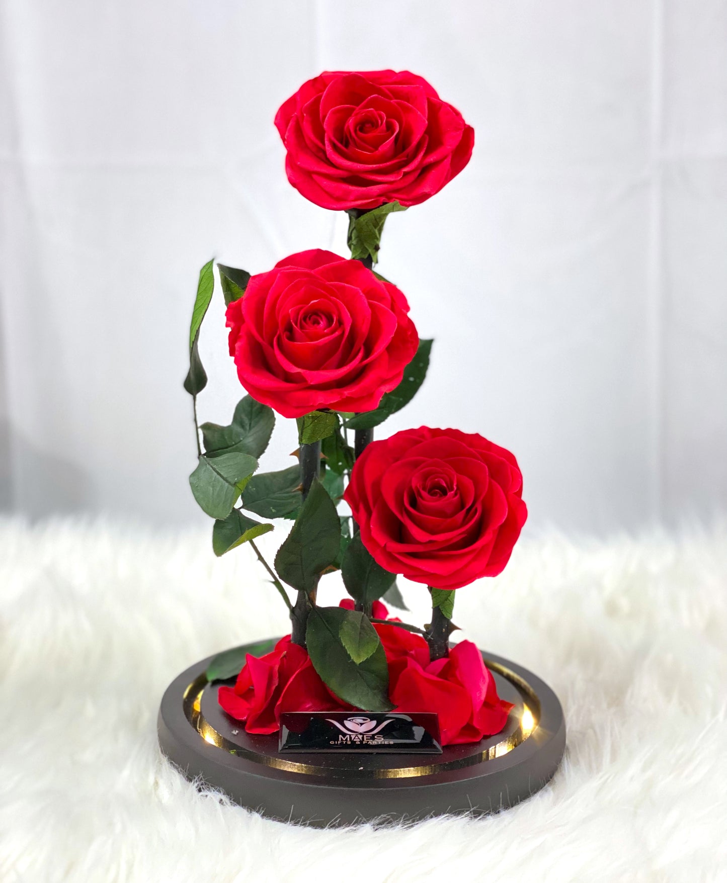 The Three Lovely Preserved Roses | Classic Red