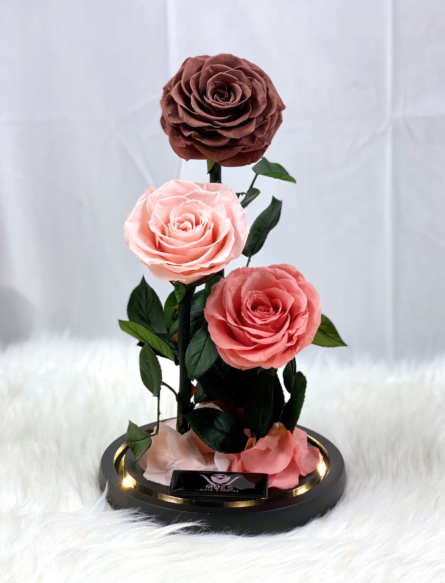 The Three Lovely Preserved Roses | Combined Peach
