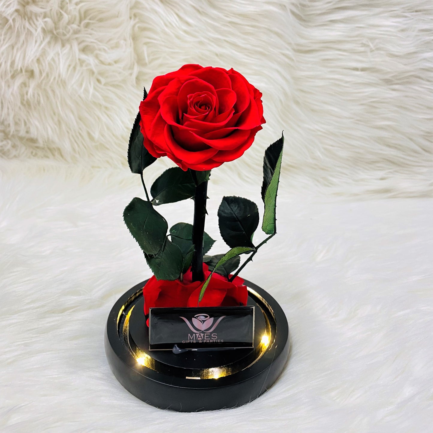Single Preserved Rose -Tall | Classic Red