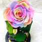 Single Preserved Rose -Tall | Rainbow
