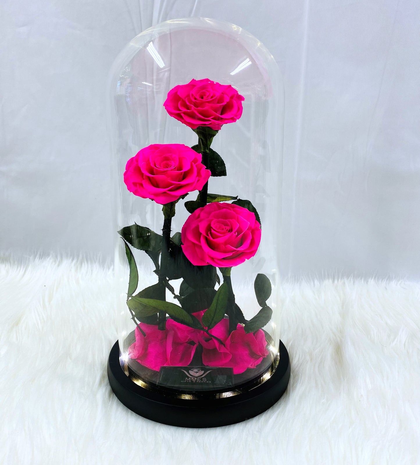The Three Lovely Preserved Roses | Fucsia Intense