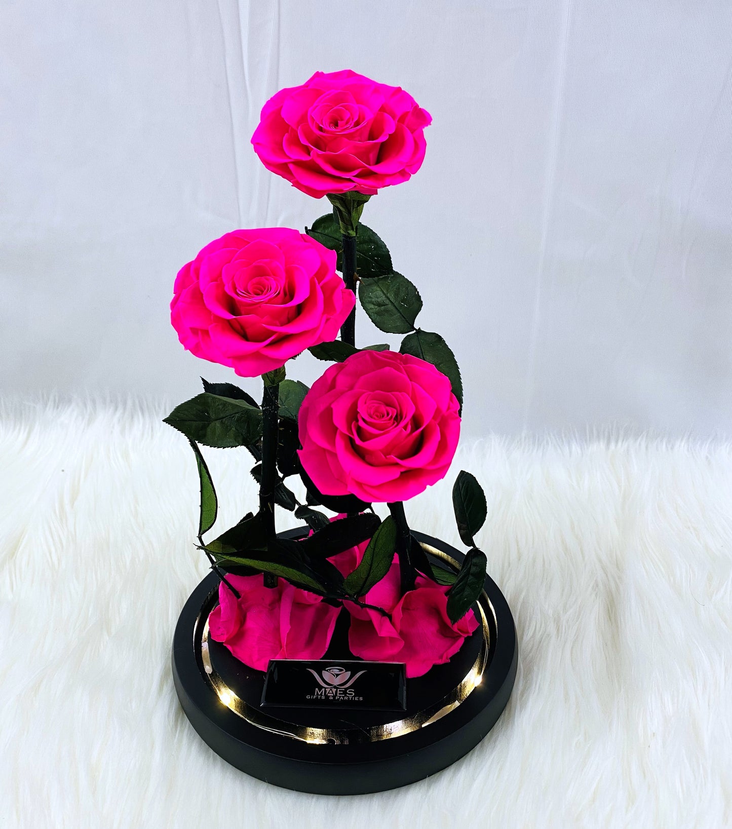 The Three Lovely Preserved Roses | Fucsia Intense