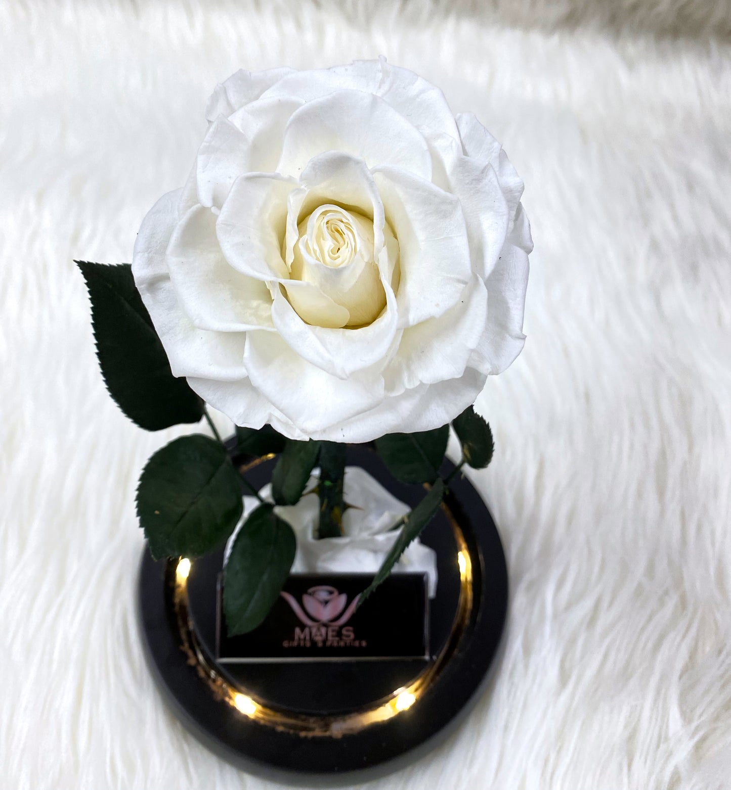 Single Preserved Rose -Tall | White