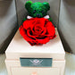 Deluxe Drawer Box with three Preserved Roses | Rose and Bear