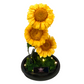 Preserved Sunflower