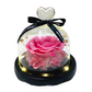 Single Preserved Rose - Small | Pink