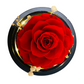 Single Preserved Rose - Small | Classic Red