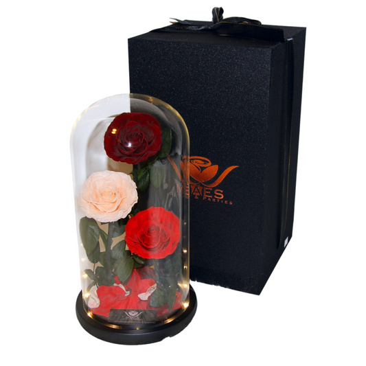 The Three Lovely Preserved Roses | Combined Red
