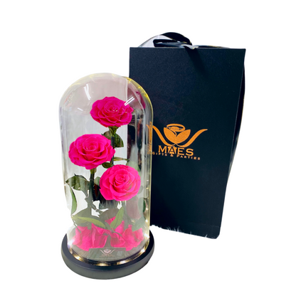 The Three Lovely Preserved Roses | Fucsia Intense