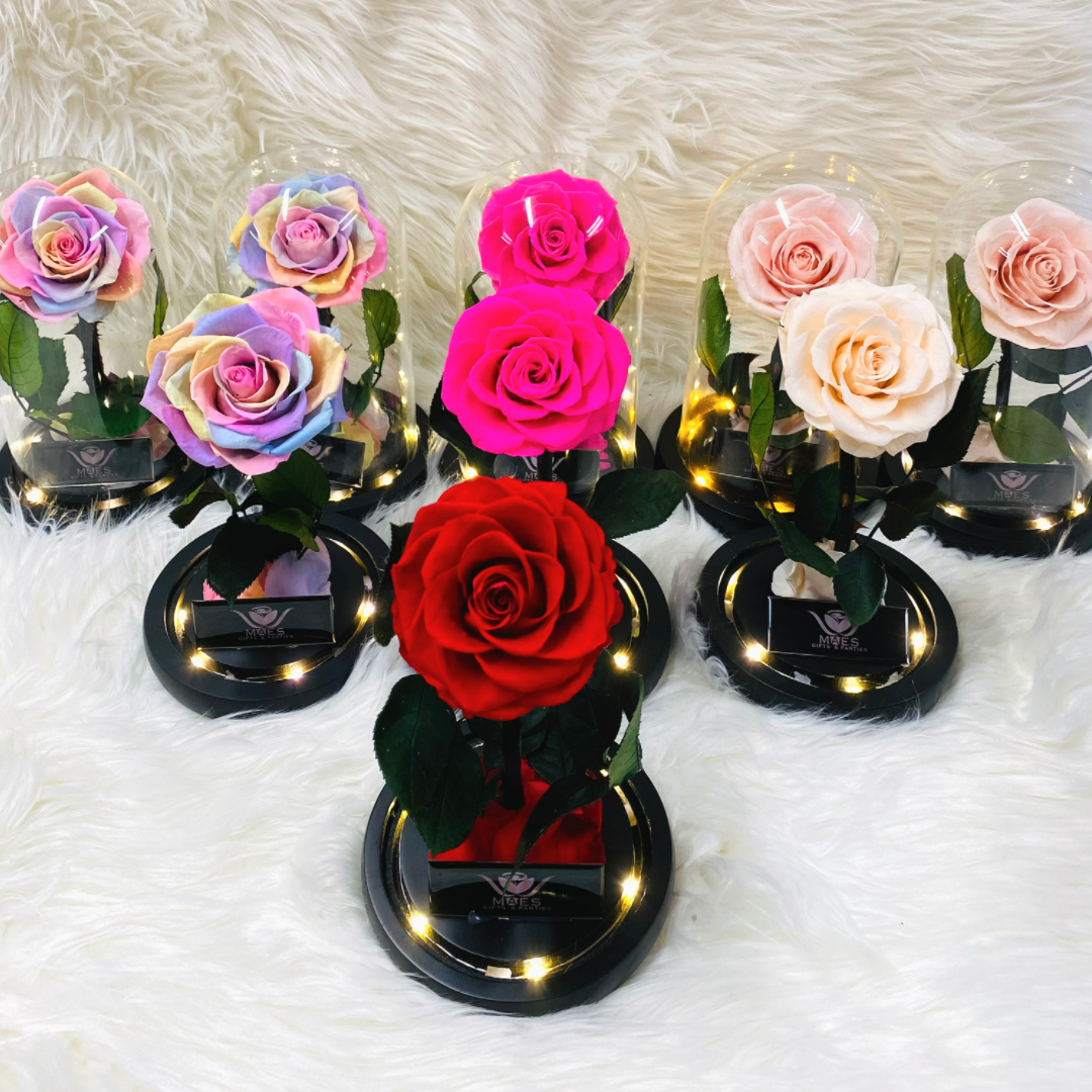 Single Preserved Rose -Tall | Fucsia