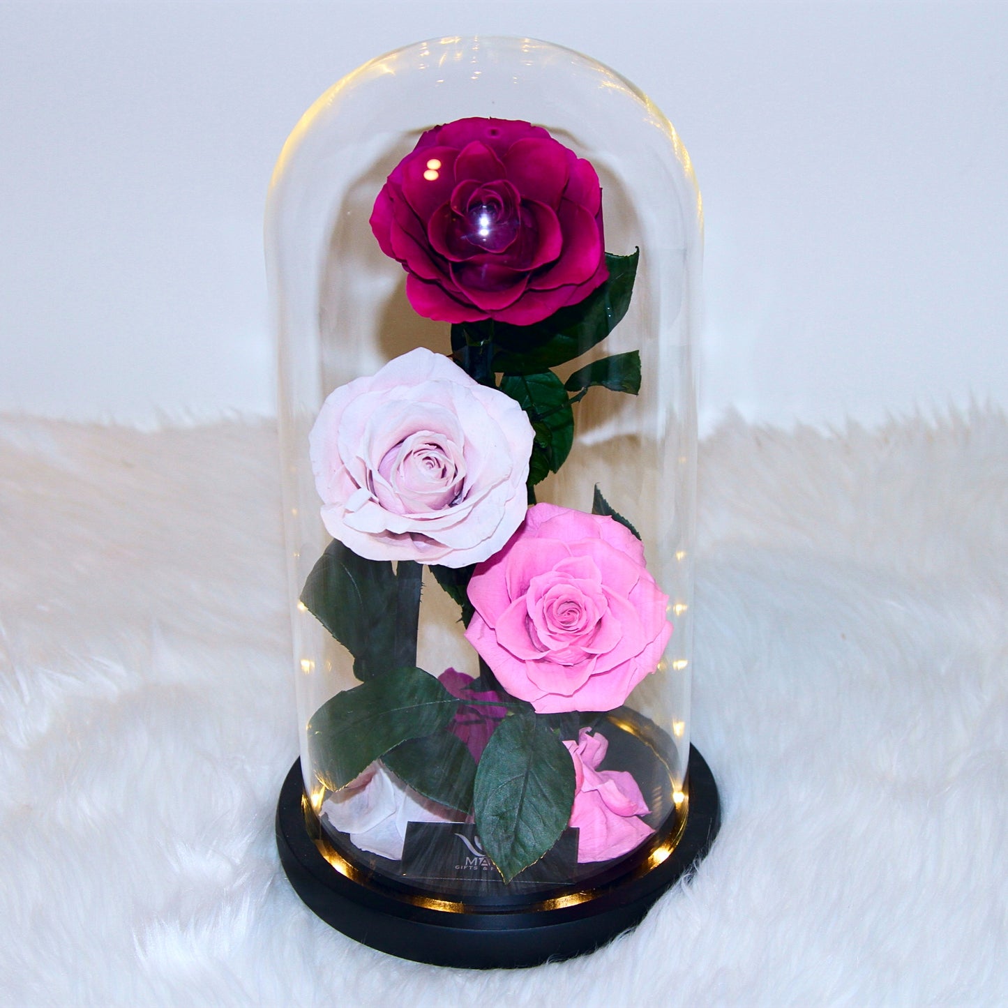 The Three Lovely Preserved Roses | Combined Purple