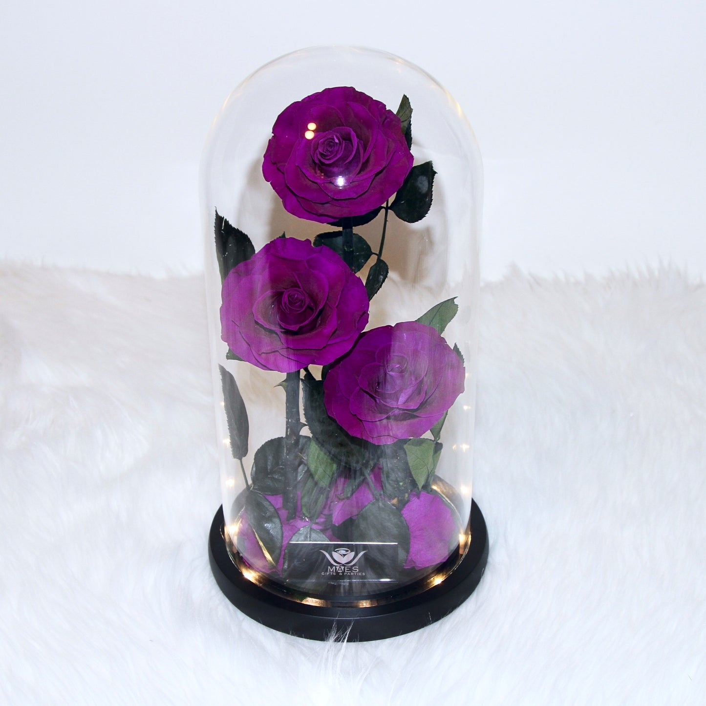 The Three Lovely Preserved Roses | Classic Purple