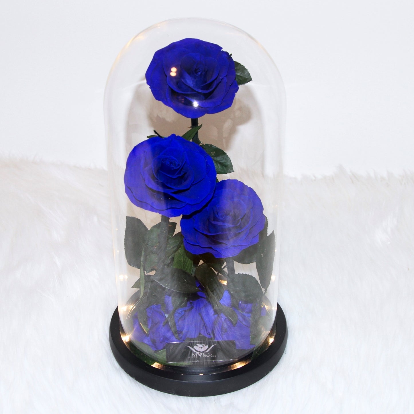 The Three Lovely Preserved Roses | Dark Blue