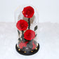 The Three Lovely Preserved Roses | Classic Red