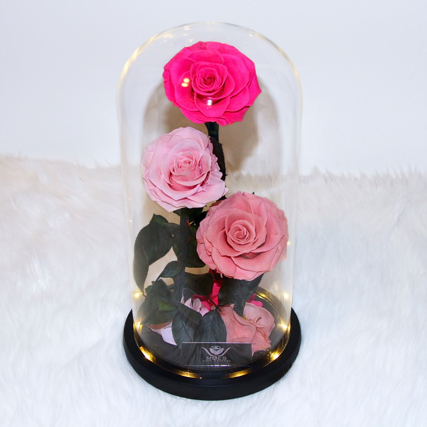 The Three Lovely Preserved Roses | Combined Rosy